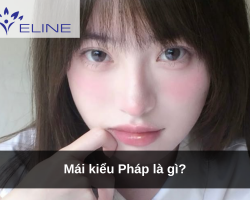Mái kiểu Pháp là gì?