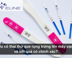 Nếu có thai thử que rụng trứng lên mấy vạch và kết quả có chính xác?
