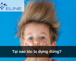 Tại sao tóc bị dựng đứng?