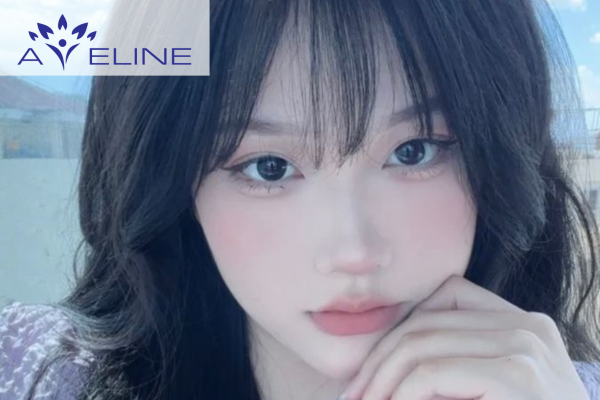 Đặc điểm nổi bật của mái kiểu Pháp 