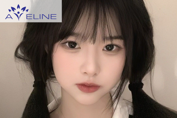 Các biến thể phổ biến của mái kiểu Pháp 