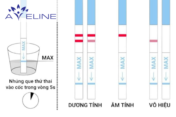 Cách que thử rụng trứng vận hành