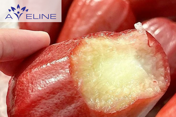 Cung cấp nước