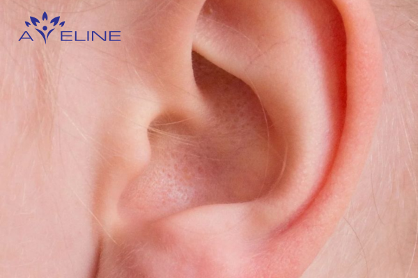 Lông mọc ở tai là điều bình thường của cơ thể 