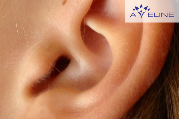 Lông mọc ở vành tai có chức năng gì?