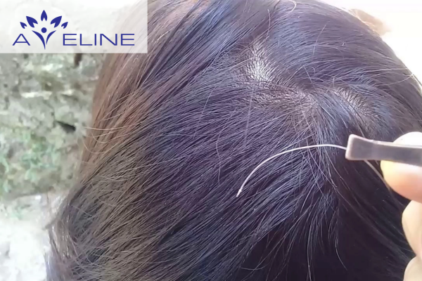Màu trắng dễ thấy