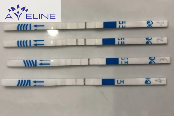 Những yếu tố ảnh hưởng đến kết quả que thử rụng trứng