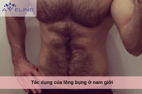 Tác dụng của lông bụng ở nam giới