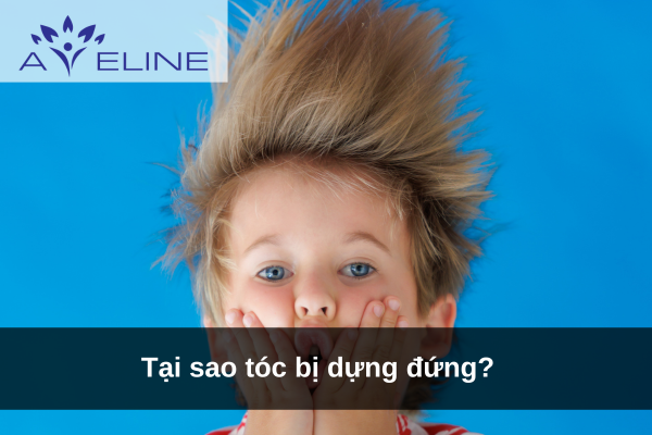 Tại sao tóc bị dựng đứng