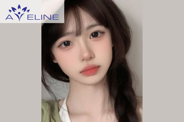 Vì sao mái kiểu Pháp được yêu thích? 